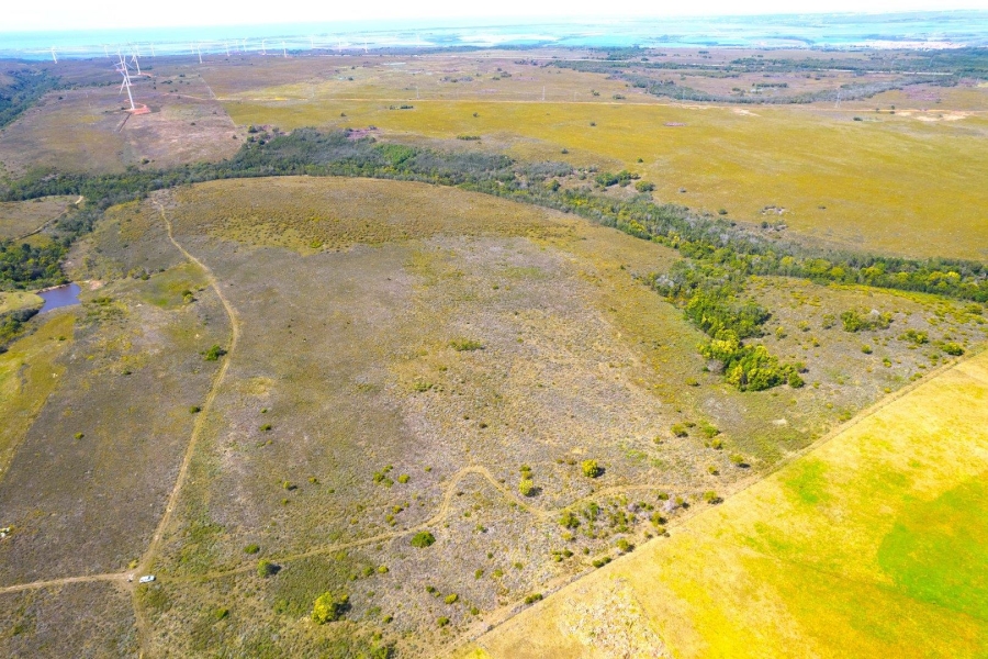 0 Bedroom Property for Sale in Humansdorp Rural Eastern Cape